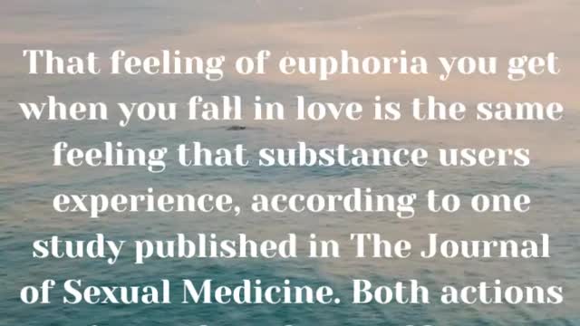 Relationship Quotes #2