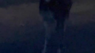 DEER BARKING LOUDLY!!