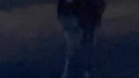DEER BARKING LOUDLY!!