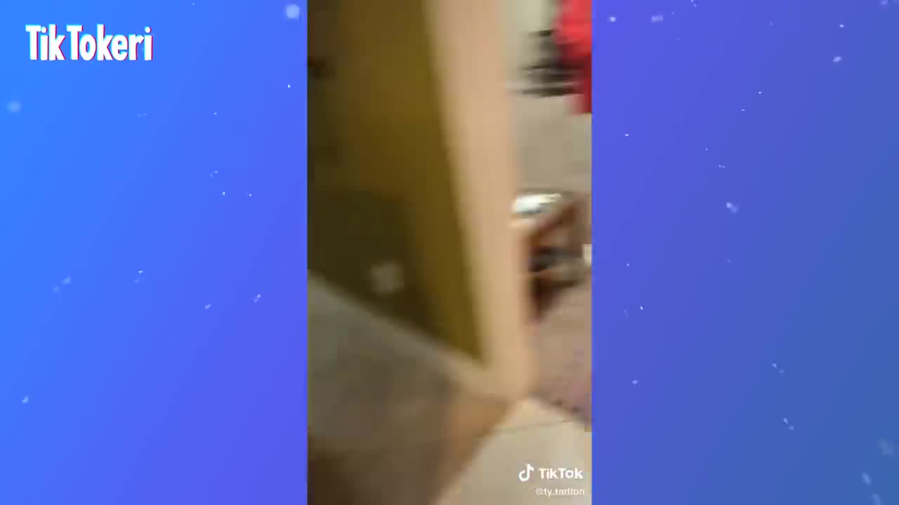 VIRAL TIKTOK COMPILATION #61