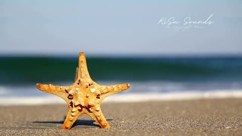 Relaxing Music | Sleeping, Meditation, Stress Relief | [5977] ⭐️