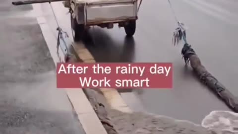 Smart people exists in every job