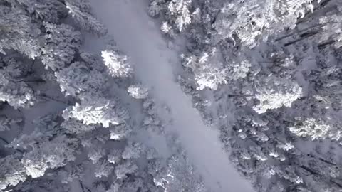 Relaxing Music | Sleeping, Meditation, Stress Relief | [1519] ⭐️