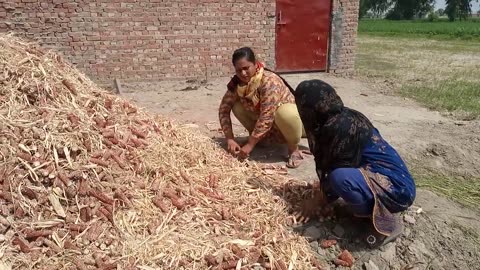 Village Life, village girl, vlog, girl life in village, girl's, home in village