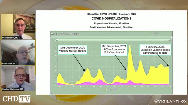 The Pandemic of the Vaccinated