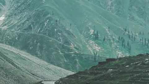 NARAN TRIP