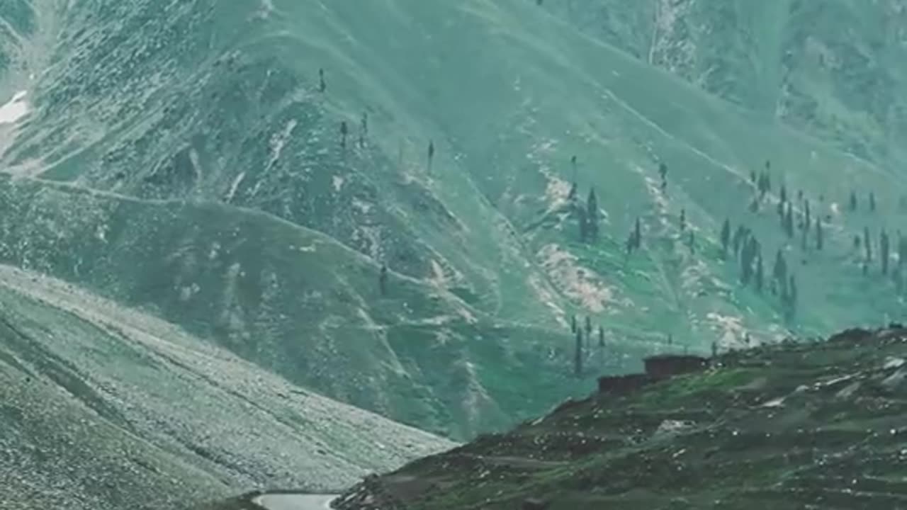 NARAN TRIP