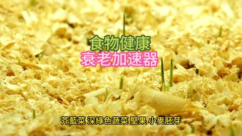 食物健康 衰老加速器