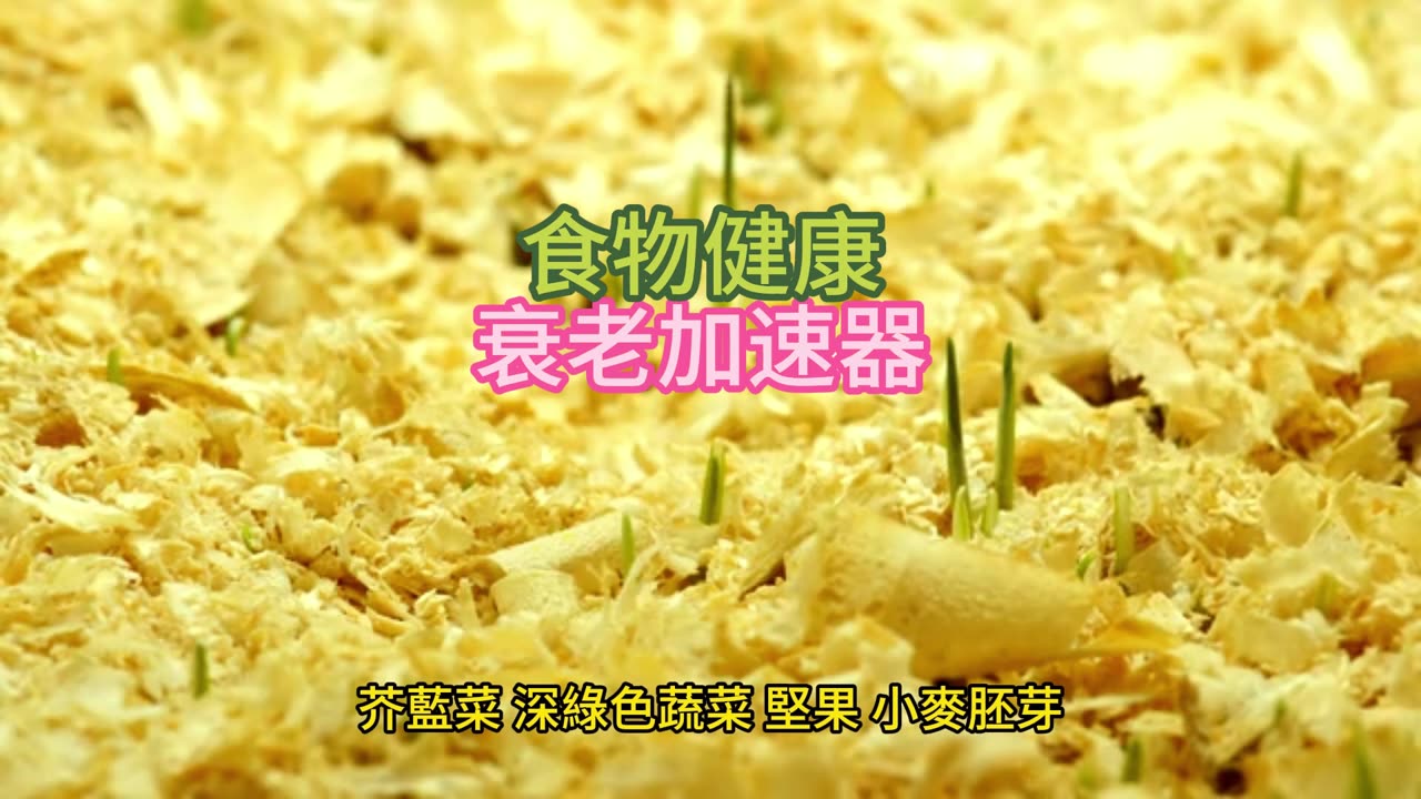 食物健康 衰老加速器