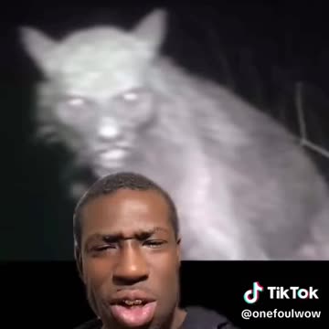 Dogman chimaera hybrid. Not a NATIVE dogman but has some genes mixed in...