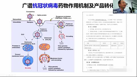 蓝柯【COVID-19研究进展简介】