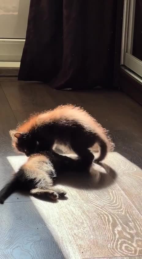 If I can’t sleep so can’t you 😂🤣