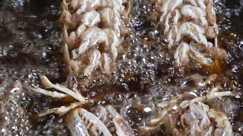 ALIEN SHRIMP Thailand Street Food9