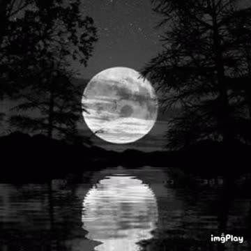 Moon Gif! 🌙