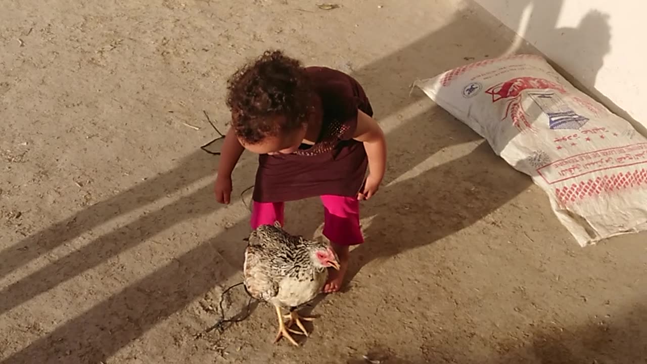 Little Yusra and her unfortunate chicken