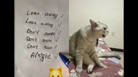 Try not to laugh cats and dogs can speek English