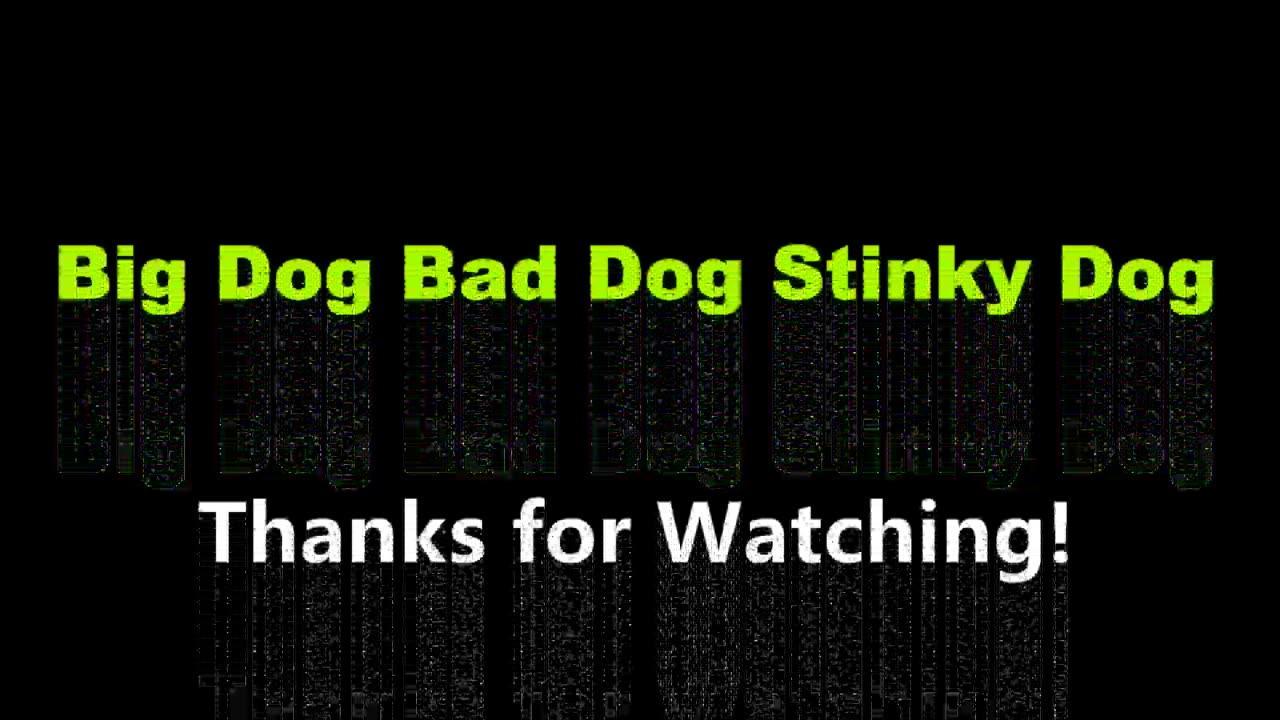 Big Dog Bad Dog Stinky Dog Song (channel test)