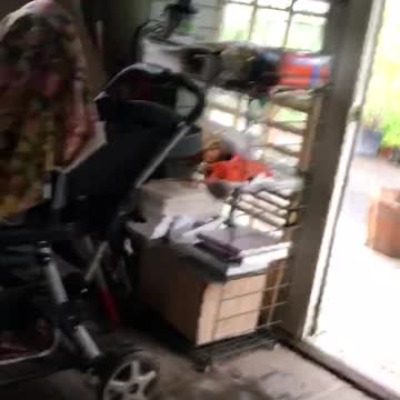 Bird in my office escapes