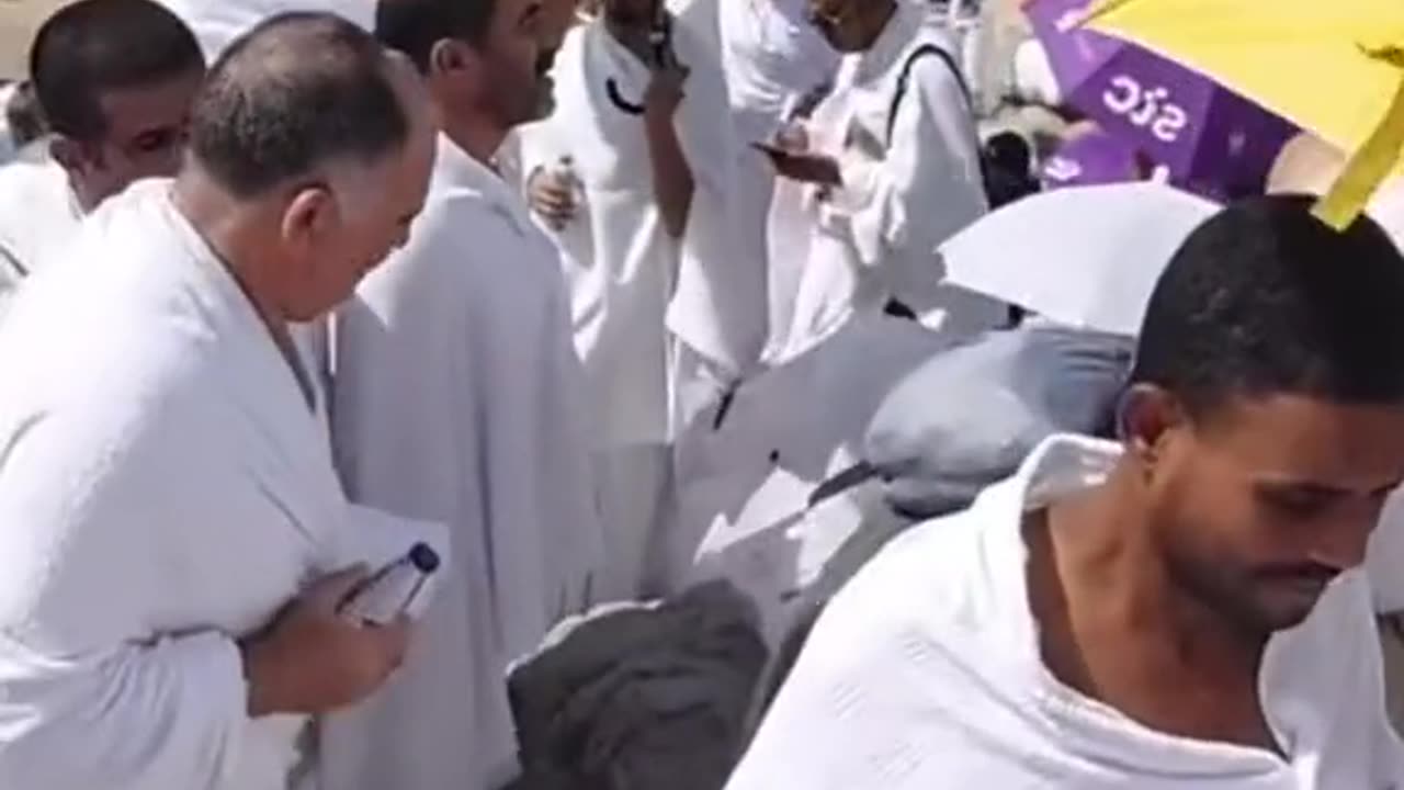 Best clip