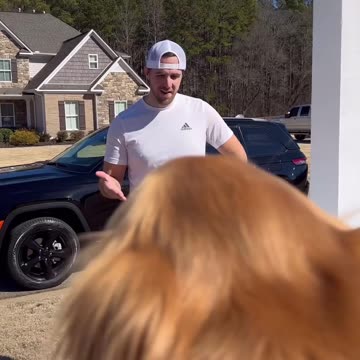 My dog made thousands with this booth!