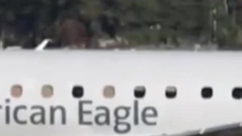 The pilot of an American Eagle flight suffered a medical emergency