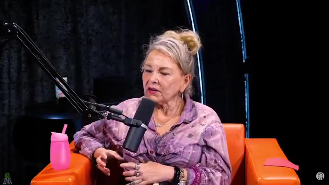 "WHAT'S GONNA HAPPEN PRETTY SOON" - ROSEANNE EXPLAINS THINGS