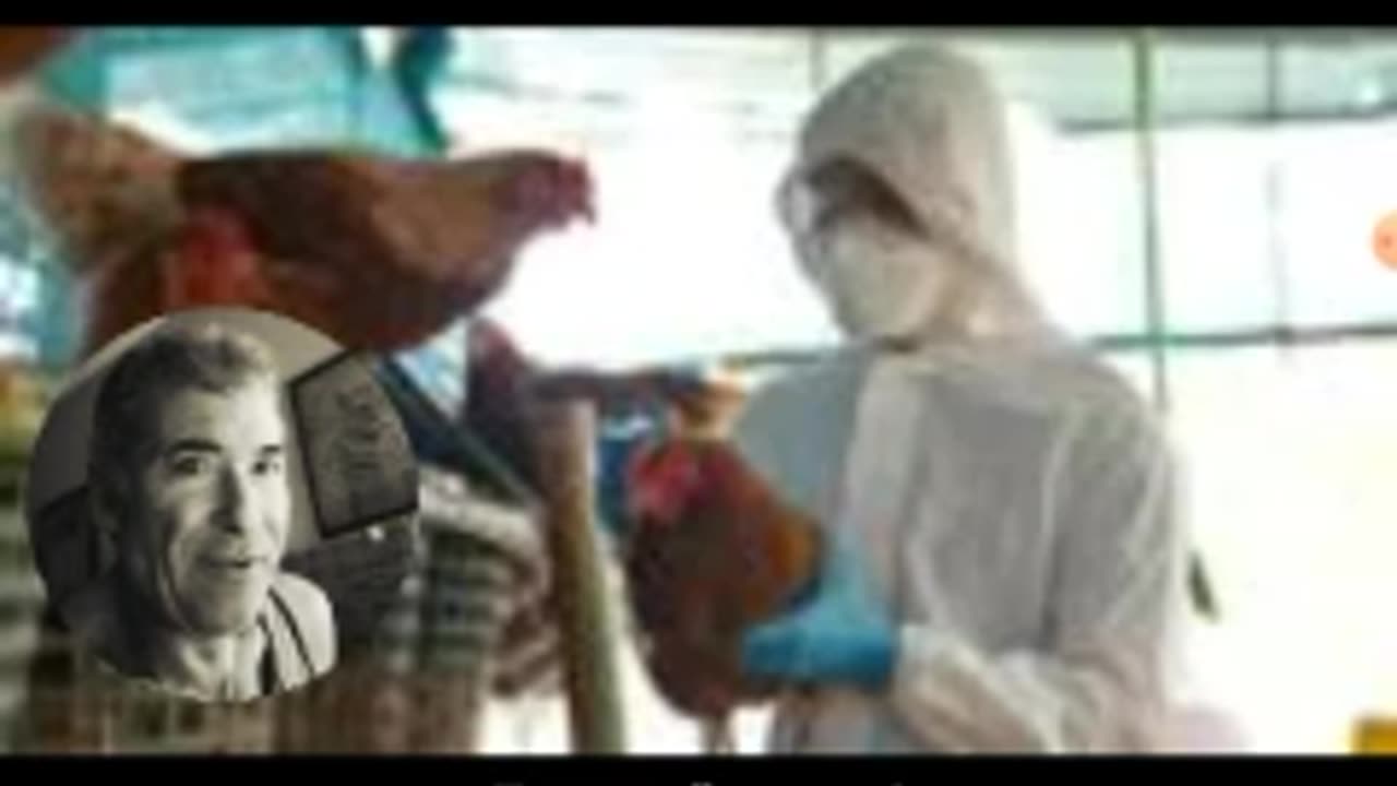 NOW THEY'RE BLAMING HUMANS & THE VEHICLES WE DRIVE FOR THE FAKE BIRD FLU TRANSMISSION!