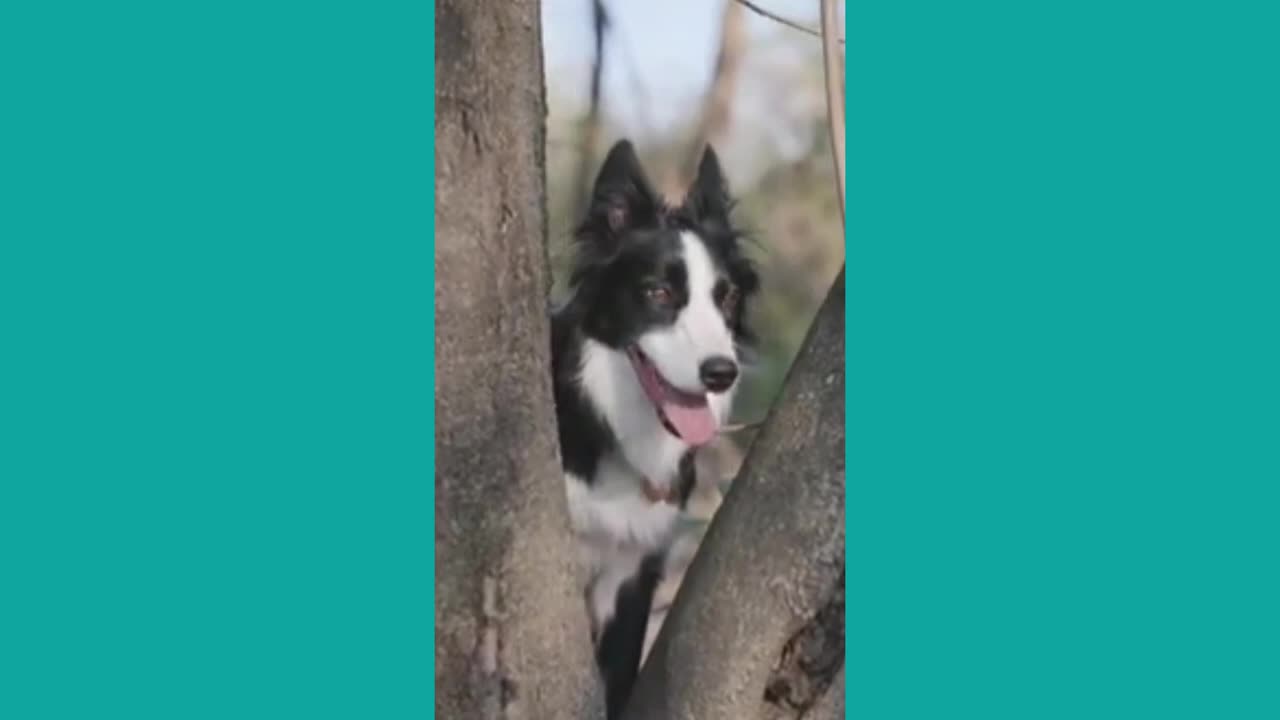 Try not to laugh!!!!