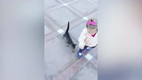 kitten chasing little girl