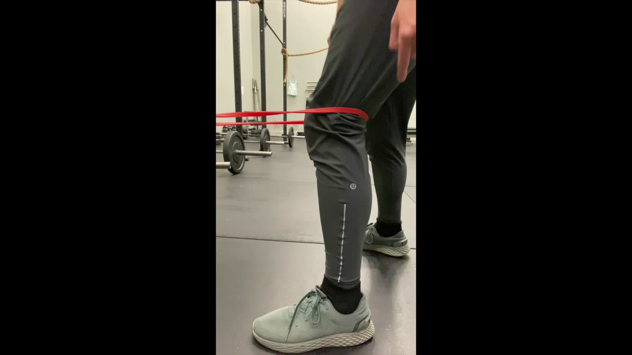 Terminal Knee Extensions