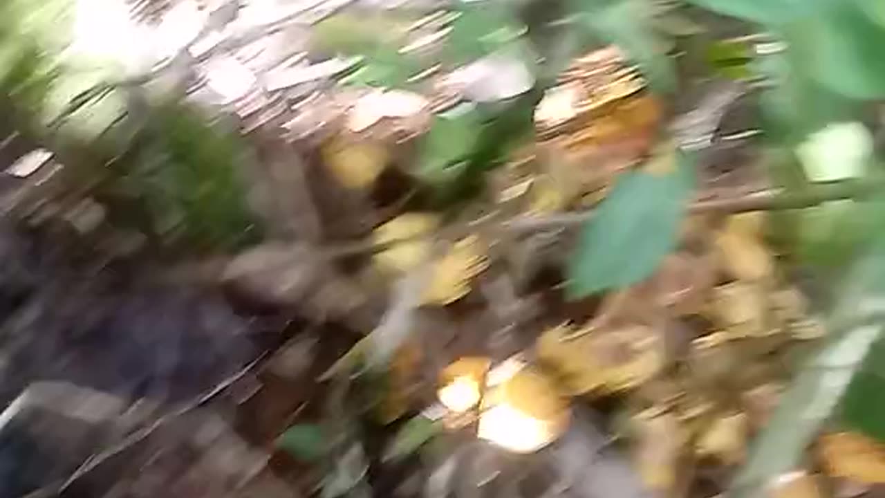 Seva de manga para paca imagens com câmera mini 301