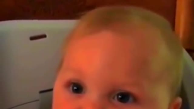 a little cuteness daily 2