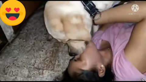 Hard dog kissing with lady video