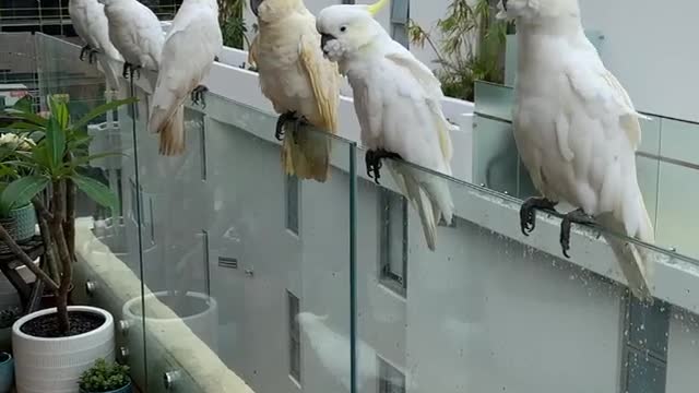 Service is slow today at The Cafe