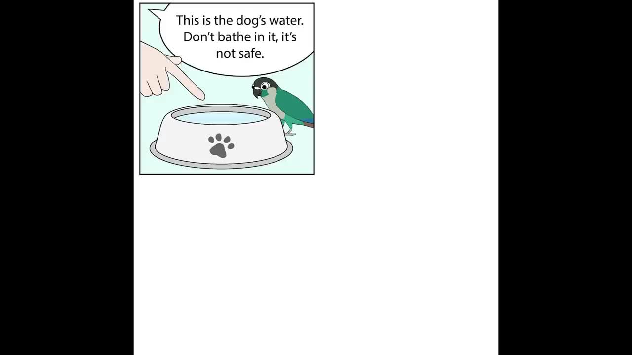 Comics With A Parrot Twist