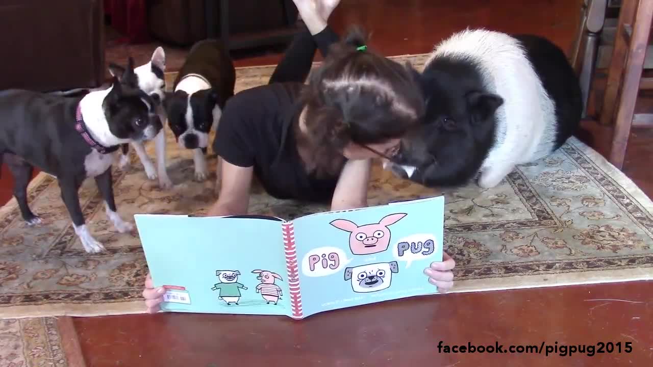 Pets gather around owner for story time