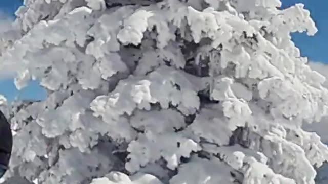 Skitouren17shoch SalzkammergutTourismusEduardoGellner