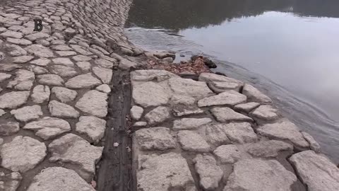 VYPUŠTĚNÝ ORLÍK