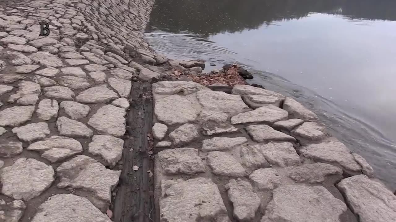 VYPUŠTĚNÝ ORLÍK