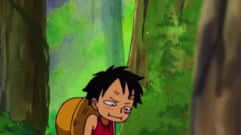 Little Luffy