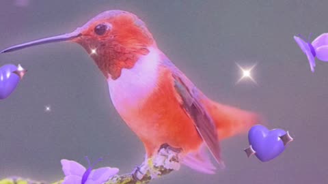 Bird.