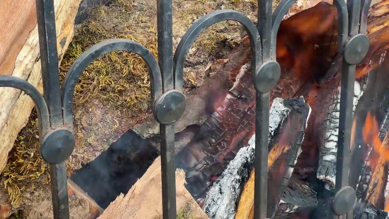 Roasting a Huge Bull on a Steel Spit