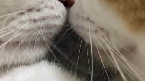 they need to sleep together