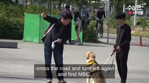 Korean Prank Videos.