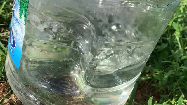 Catching a Ground Squirrel With a Jug of Water