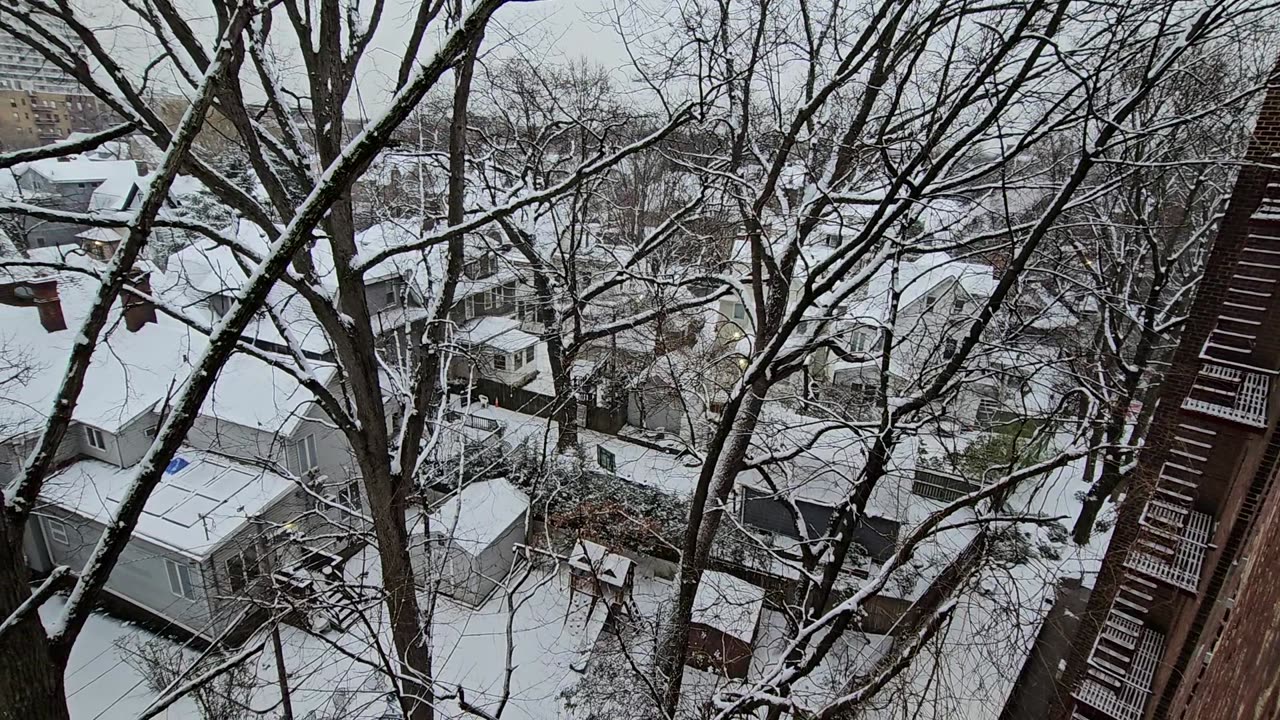 Snow in Newyork