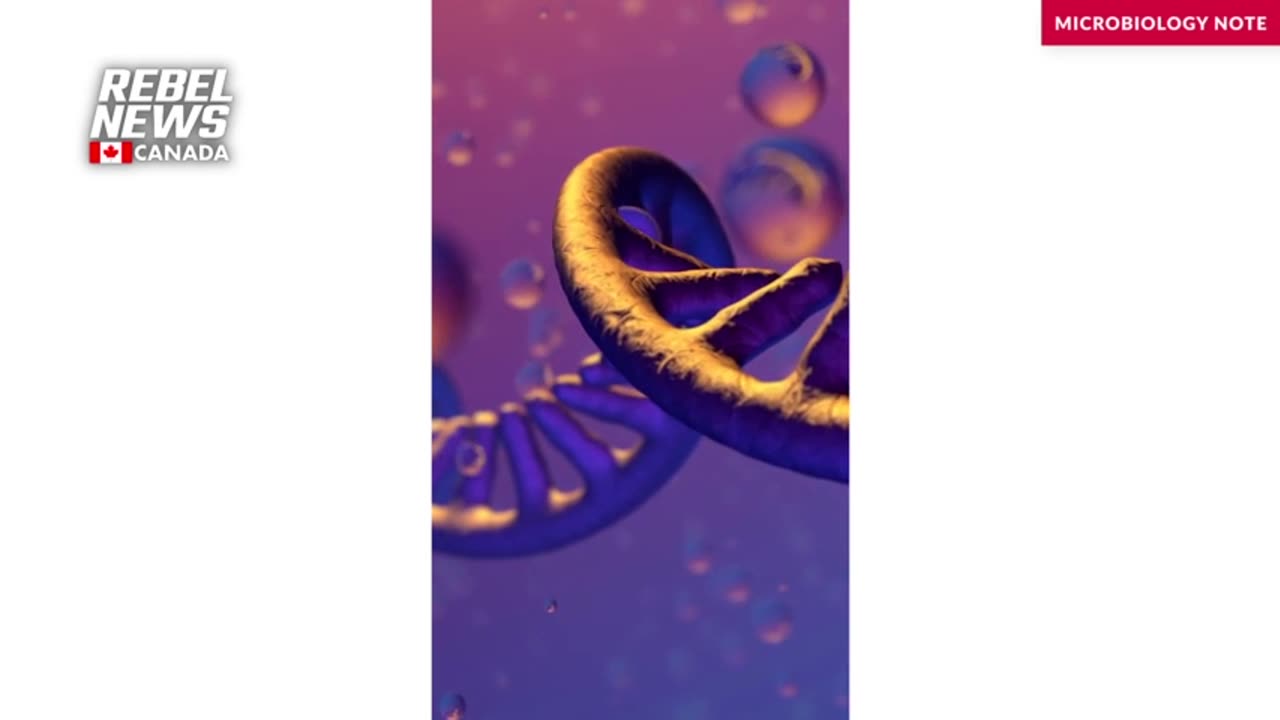 Genomics expert discovers concerning contents in COVID vaccine vials