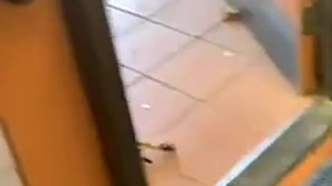 What’s going on here 🧐