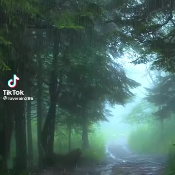 Gr liton Natural Clips, Natural Video Clips # - 87