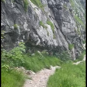 Freedom Cash Geocaching Paper Wallet - Zugspitze Höhle
